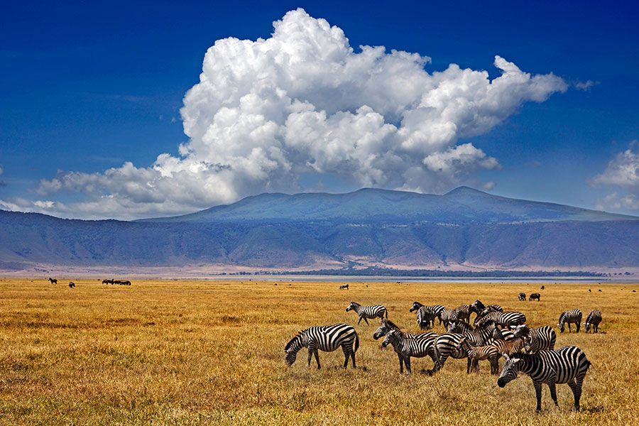 Benny-Rebel-Fotoreise_Fotosafari-Tansania-Ruanda-Afrika_A5
