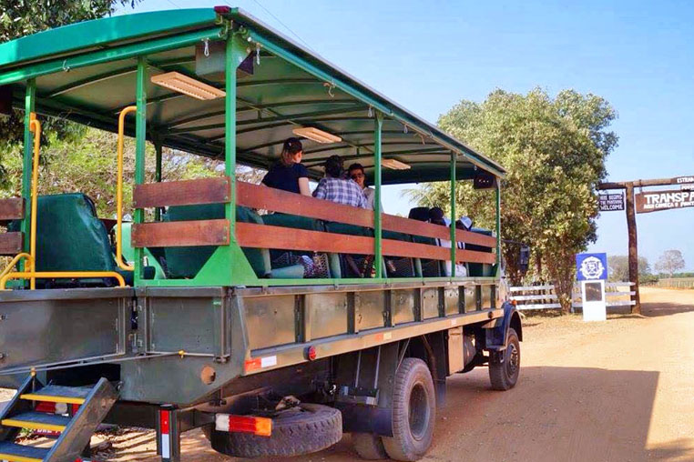 fotoreise-pantanal-fotosafari-brasilien-022