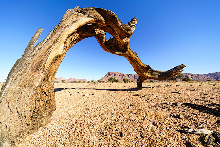 Fotosafari_Namibia_Fotoreise_Sueden_Afrika_02