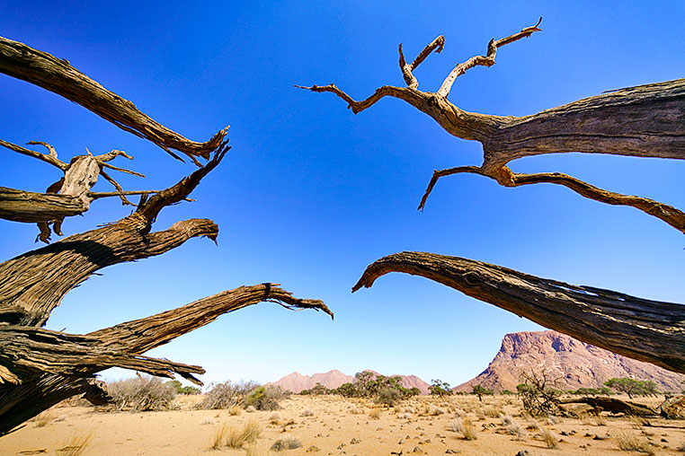 Fotosafari_Namibia_Fotoreise_Sueden_Afrika_03