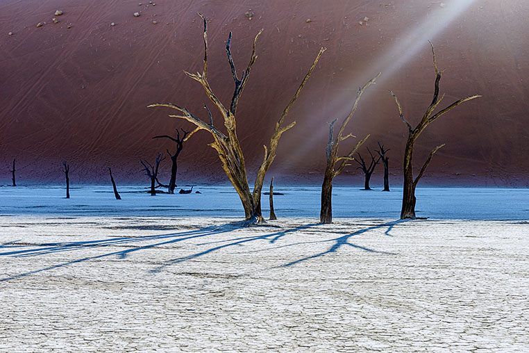 Fotosafari_Namibia_Fotoreise_Sueden_Afrika_13