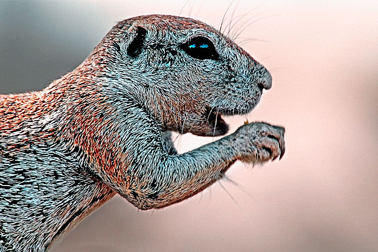 Fotosafari_Namibia_Fotoreise_Sueden_Afrika_18
