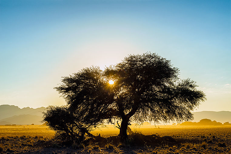 Fotosafari_Namibia_Fotoreise_Sueden_Afrika_38