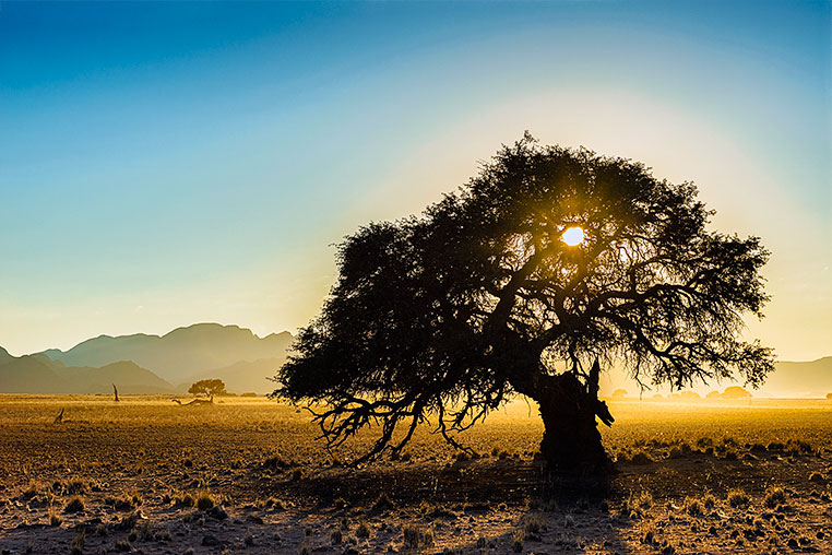 Fotosafari_Namibia_Fotoreise_Sueden_Afrika_39