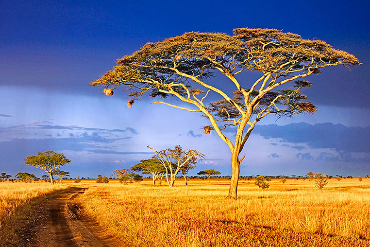 Fotosafari_Tansania_Fotoreise_Afrika_04