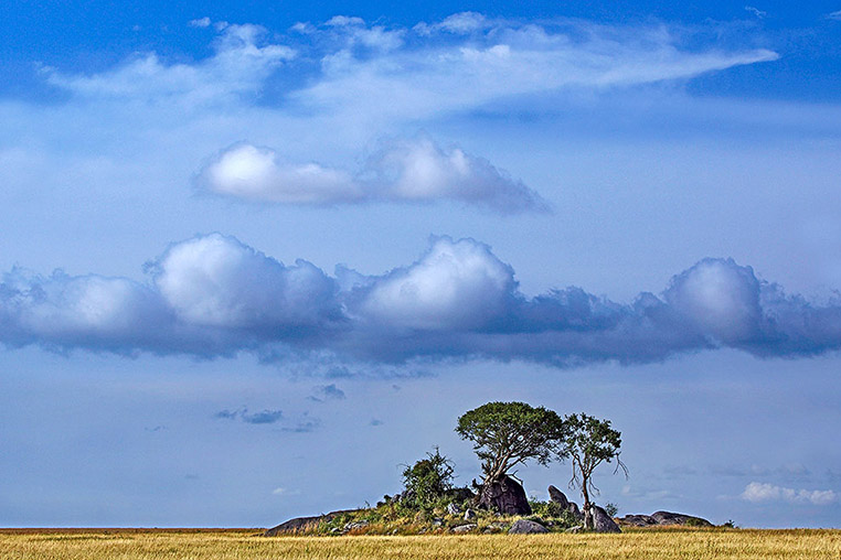 Fotosafari_Tansania_Fotoreise_Afrika_06