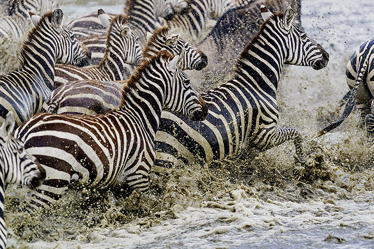 Fotosafari_Tansania_Fotoreise_Kenia_Afrika_05