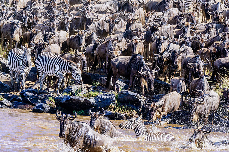 Fotosafari_Tansania_Fotoreise_Kenia_Afrika_06