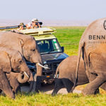 Tips und Anleitung vom bekannten Naturfotografen: Benny Rebel