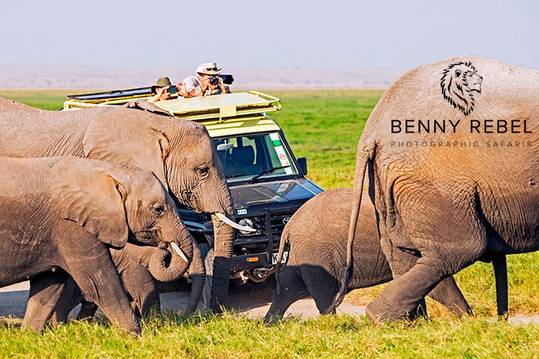 Tips und Anleitung vom bekannten Naturfotografen: Benny Rebel