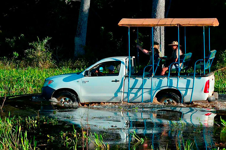 fotoreise-pantanal-fotosafari-brasilien-052