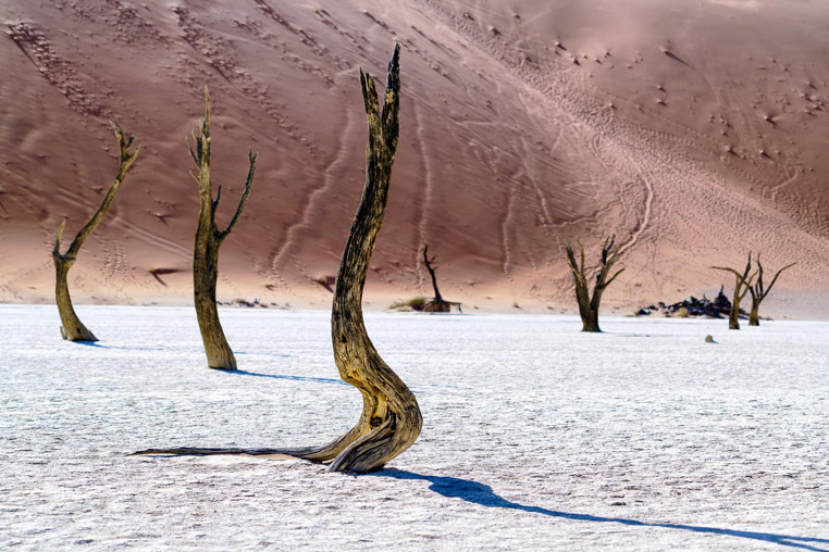 fotoreise-namibia-fotosafari-afrika-deadvlei