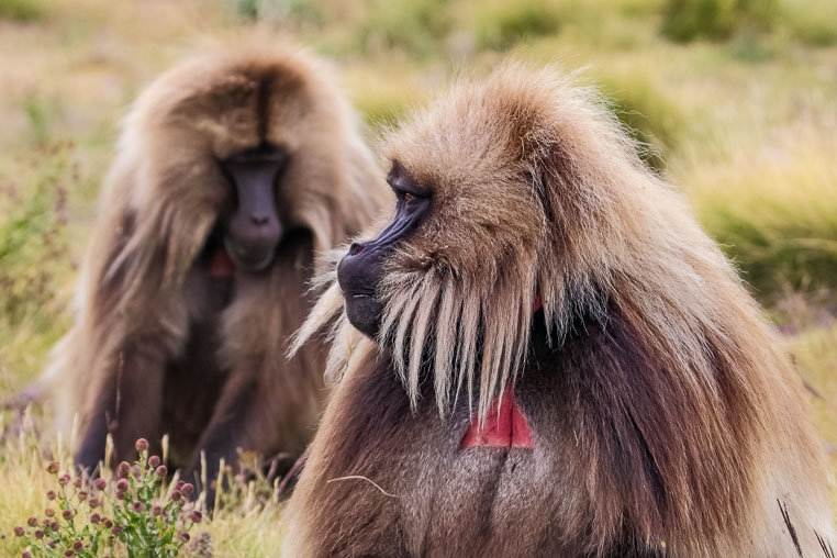 Fotoreise durch Äthiopien
