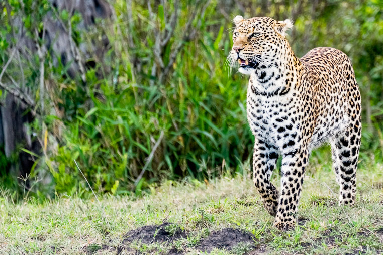 All Copyrights by www.Benny-Rebel.com
Fotoreise durch Sambia mit Benny Rebel