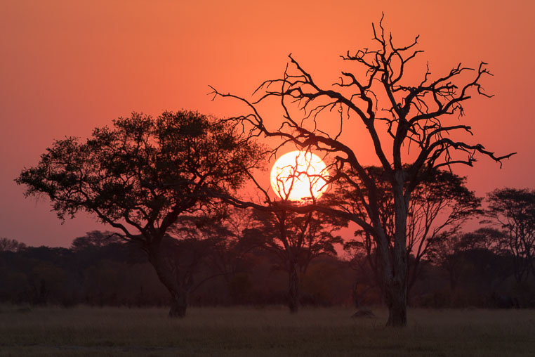 All Copyrights by www.Benny-Rebel.com
Fotoreise durch Sambia mit Benny Rebel