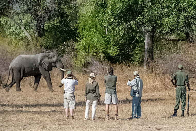 fotoreise_sambia_fotosafari_afrika_31
