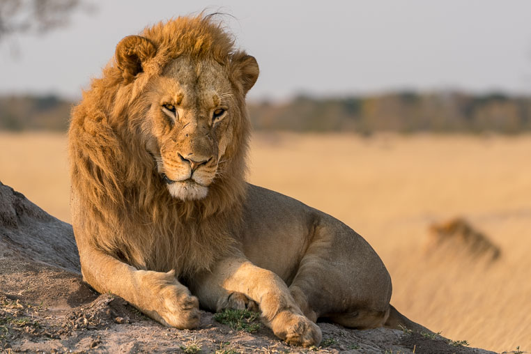 All Copyrights by www.Benny-Rebel.com
Fotoreise durch Sambia mit Benny Rebel