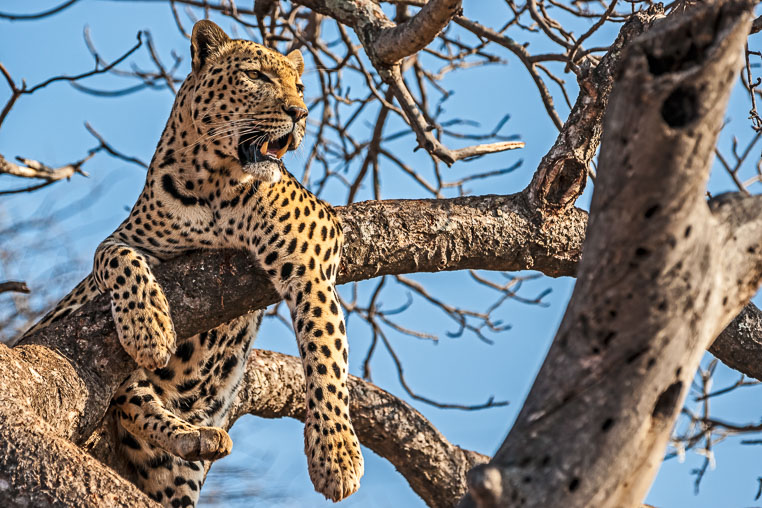 All Copyrights by www.Benny-Rebel.com
Fotoreise durch Sambia mit Benny Rebel