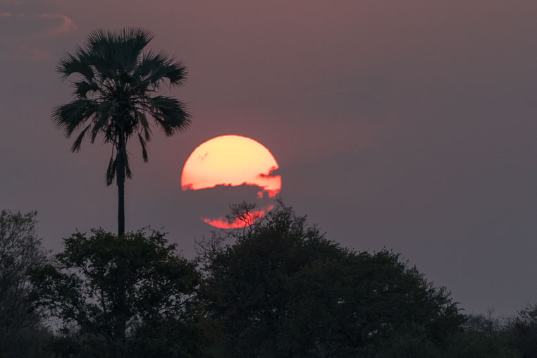 All Copyrights by www.Benny-Rebel.com
Fotoreise durch Sambia mit Benny Rebel