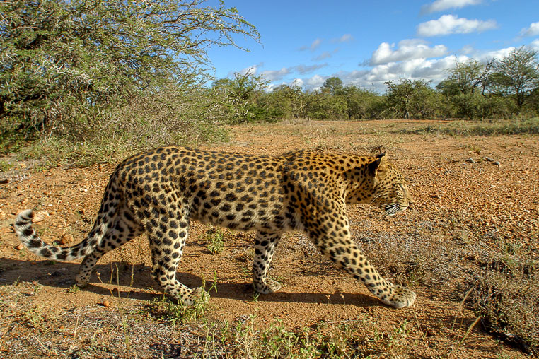 All Copyrights by www.Benny-Rebel.com
Fotoreise durch Sambia mit Benny Rebel