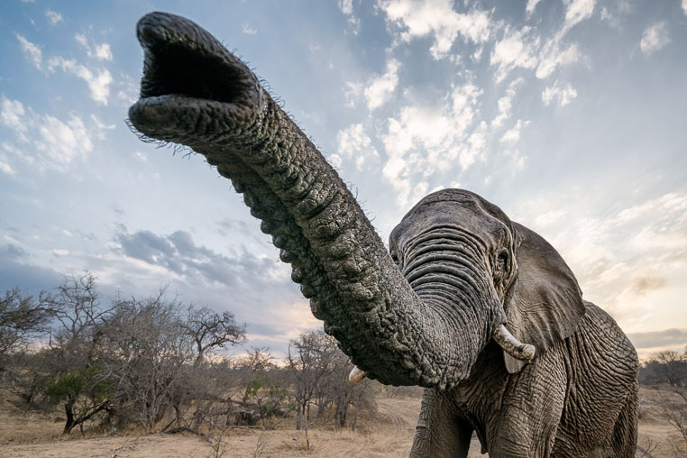 fotosafari mit benny rebel durch suedafrika