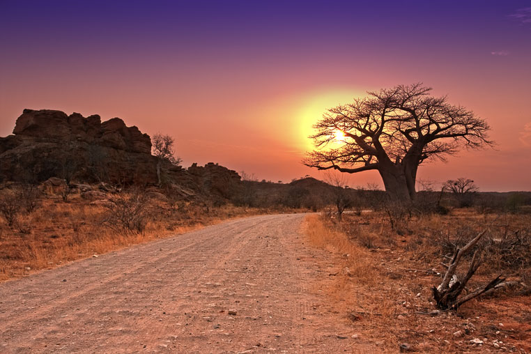 fotosafari mit benny rebel durch suedafrika