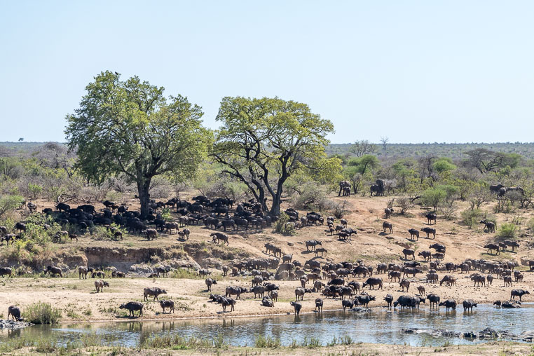 fotosafari mit benny rebel durch suedafrika