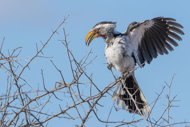 fotosafari mit benny rebel durch suedafrika