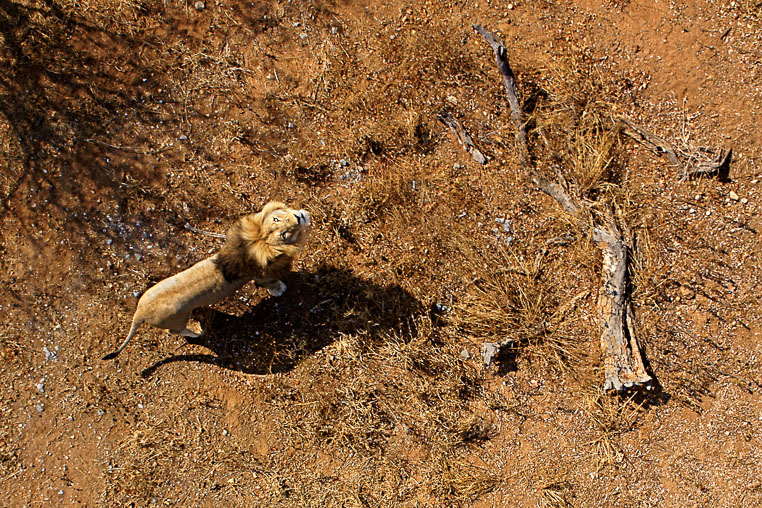 fotosafari mit benny rebel durch suedafrika
