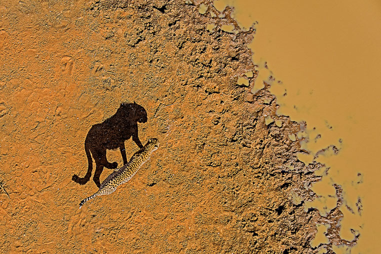 fotosafari mit benny rebel durch suedafrika