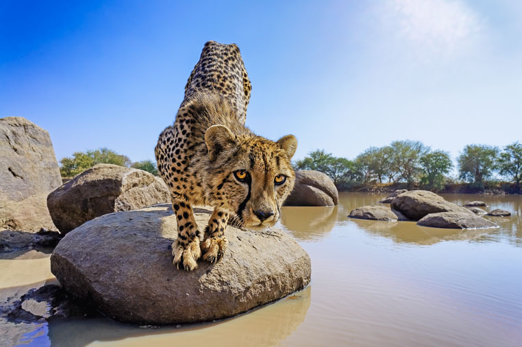 fotosafari mit benny rebel durch suedafrika