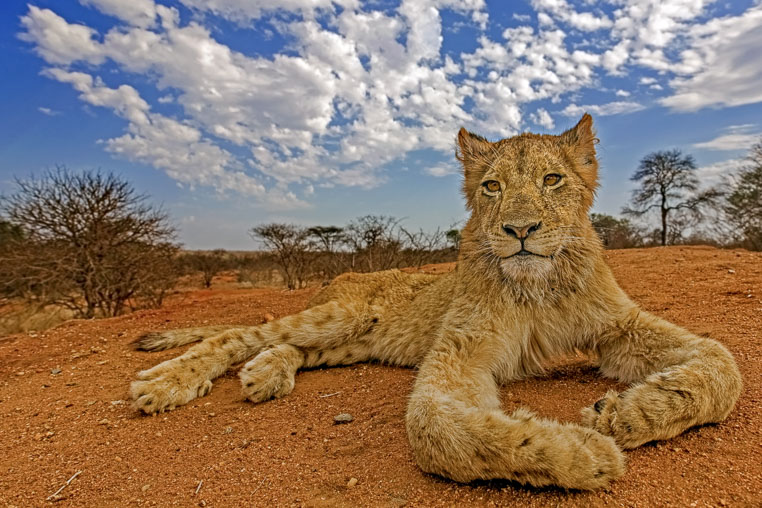 fotosafari mit benny rebel durch suedafrika