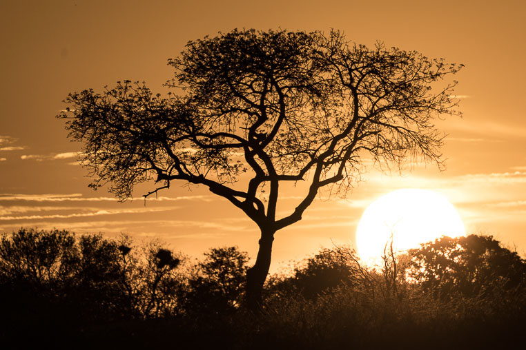 fotosafari mit benny rebel durch suedafrika