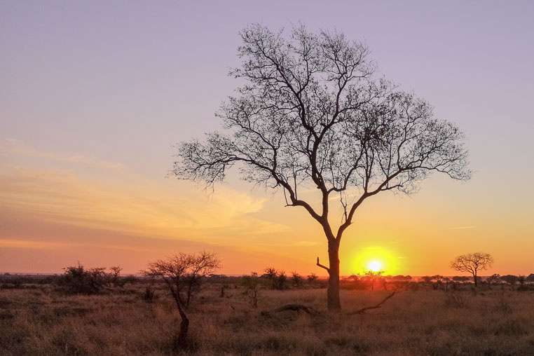 fotosafari mit benny rebel durch suedafrika