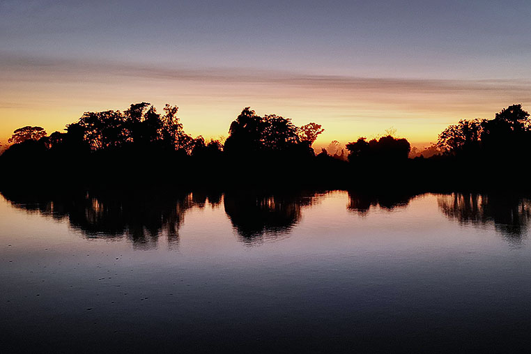 Bilder von Brasiliens Pantanal. Aufgenommen von Benny Rebel auf der Fotosafari 2018 durch das Pantanal. Fotoreisen mit Benny Rebel.
www.Fotosafari-Fotoreise.de