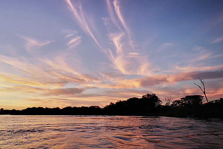 Bilder von Brasiliens Pantanal. Aufgenommen von Benny Rebel auf der Fotosafari 2018 durch das Pantanal. Fotoreisen mit Benny Rebel.
www.Fotosafari-Fotoreise.de