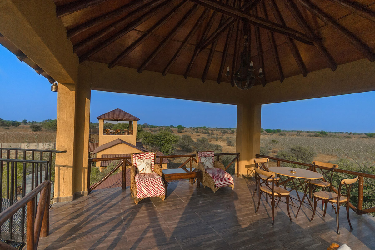 fotoreise_indien_tiger_fotosafari_bamboo_027