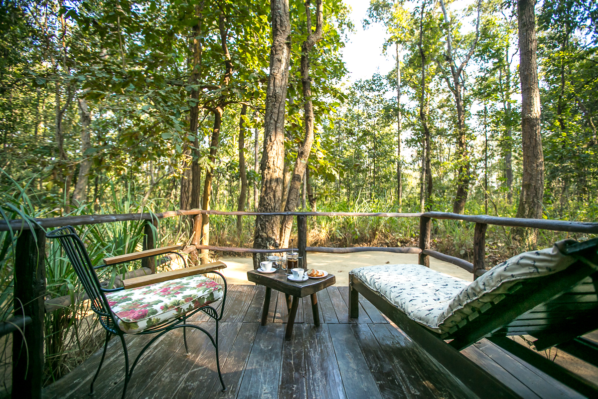 kanha_fotoreise_indien_tiger_fotosafari_18