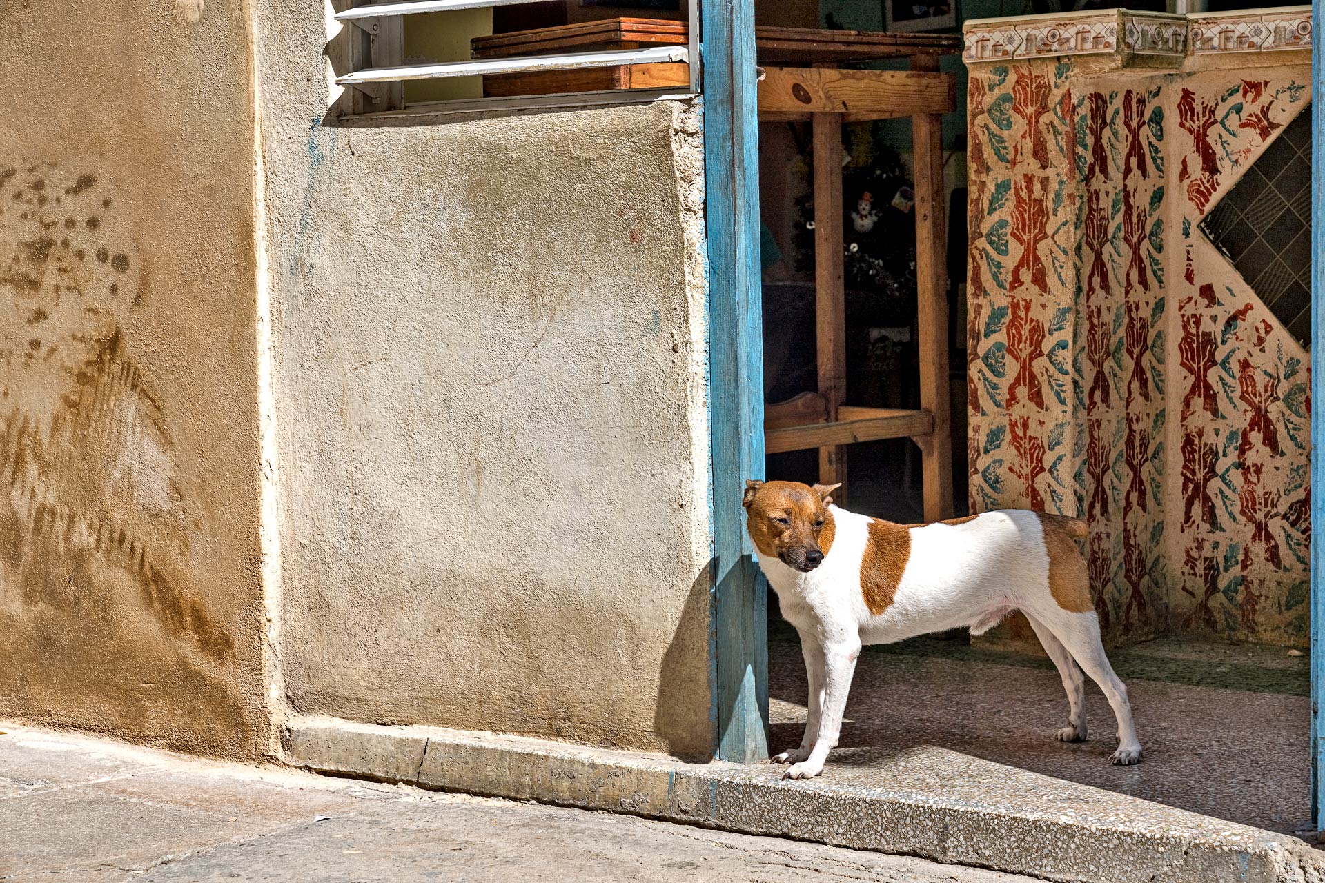 fotoreise_kuba_fotosafari_havanna_2020_242