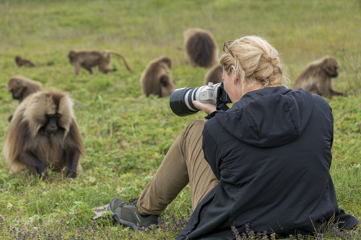 fotoreise-aethiopien-fotosafari-ethiopia-blutbrustpavian-Gelada-34