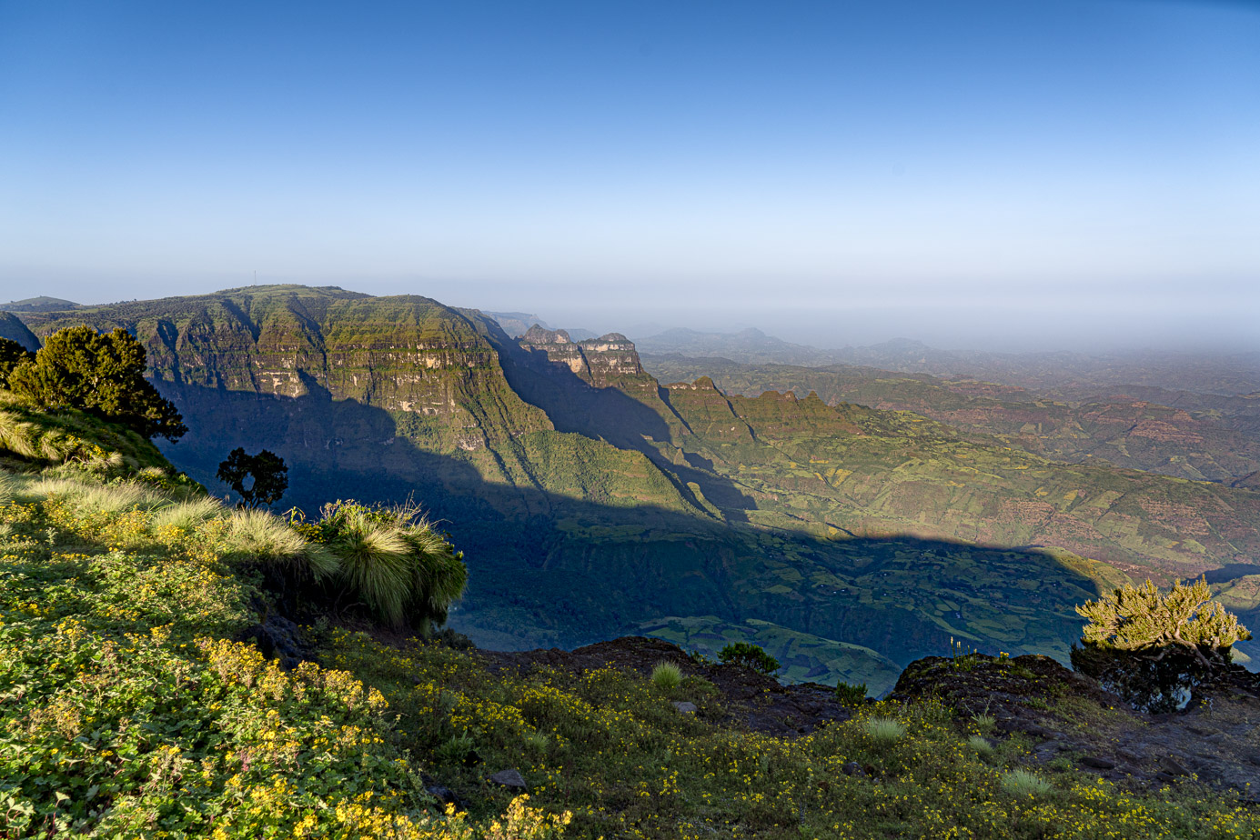 fotoreise-aethiopien-fotosafari-ethiopia-blutbrustpavian-Gelada-48