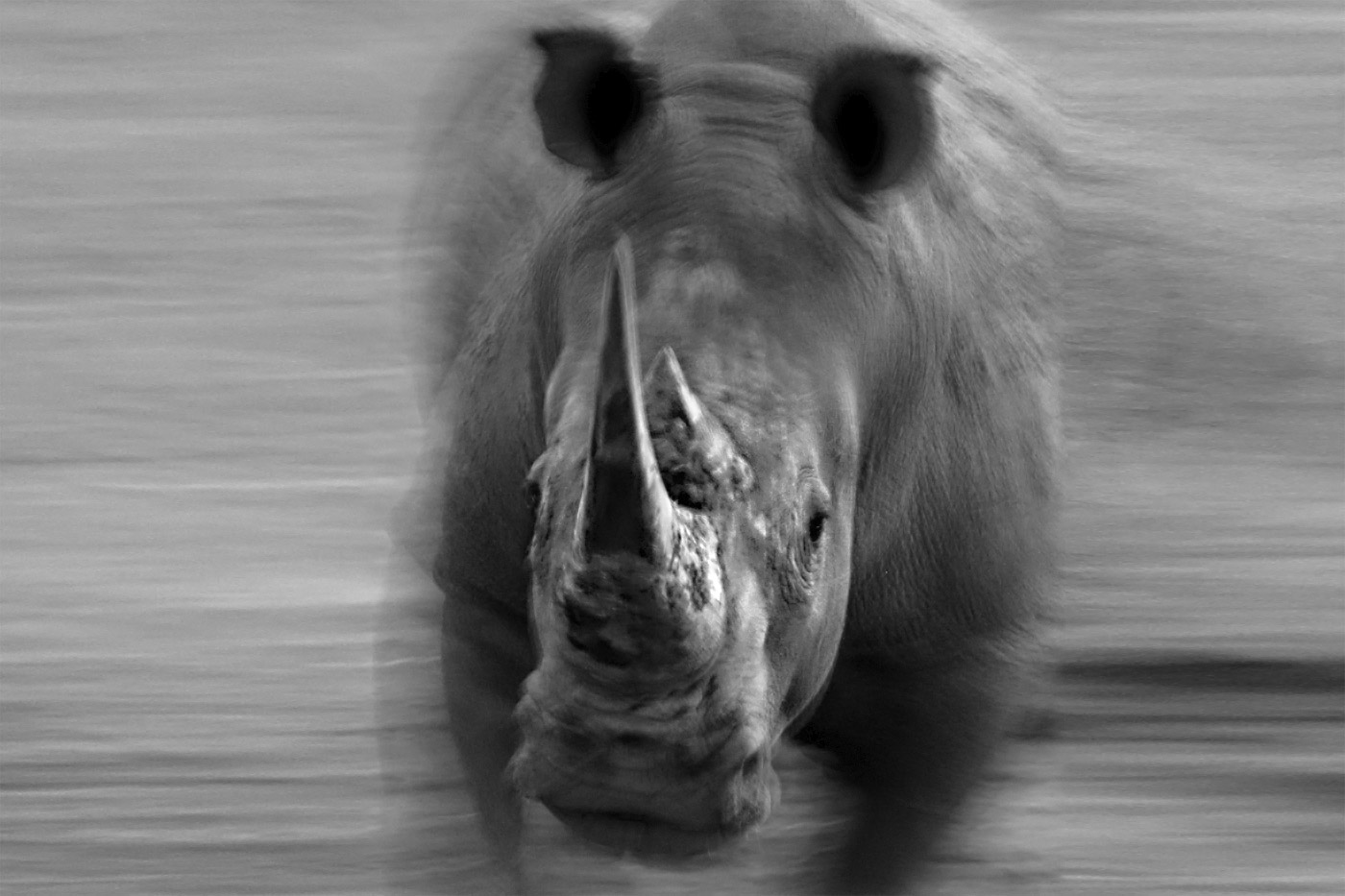 fotoreise-suedafrika-abenteuer-fotosafari-04