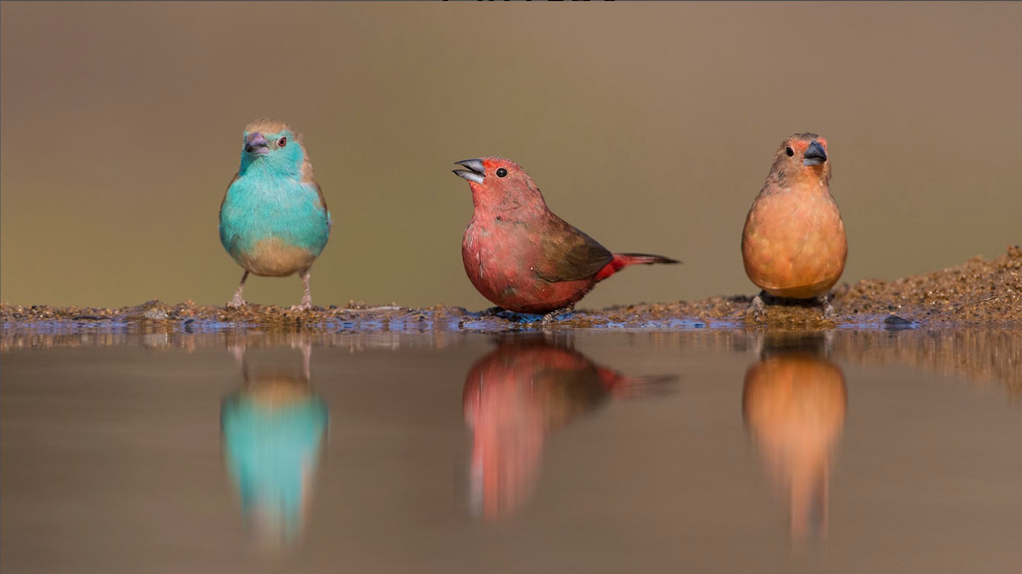 fotoreise-suedafrika-fotosafari-zululand02
