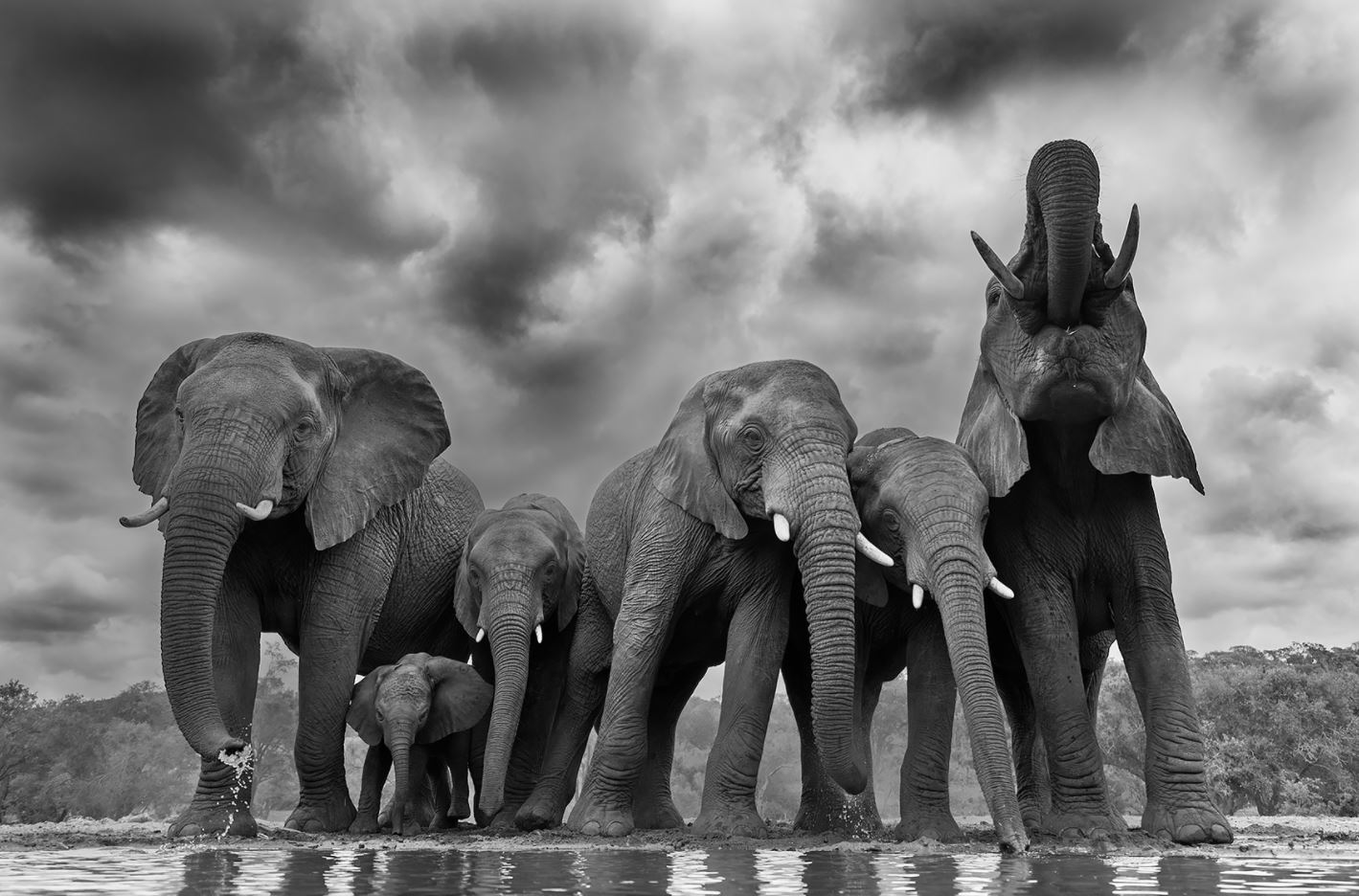 fotoreise-suedafrika-fotosafari-zululand03
