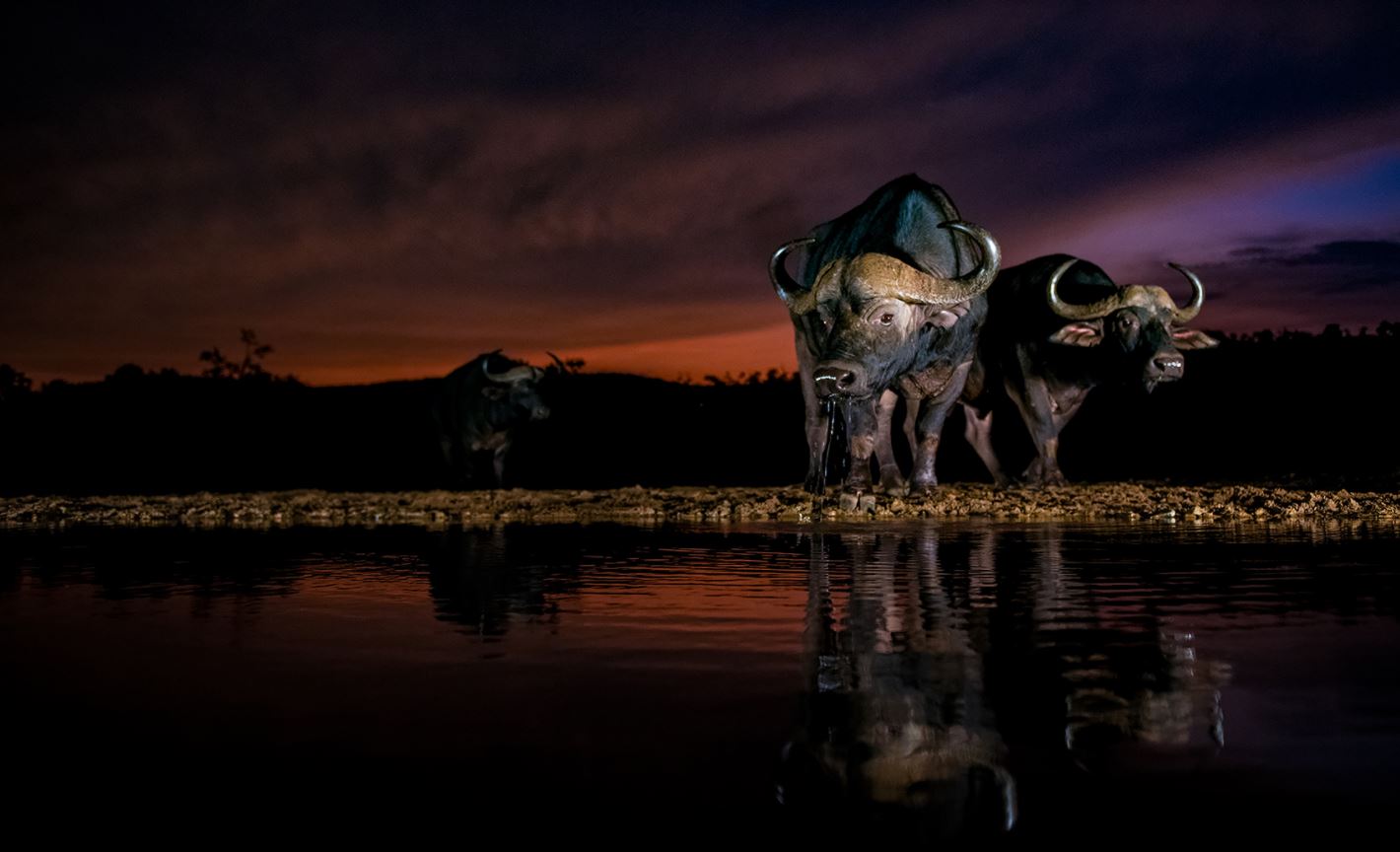 fotoreise-suedafrika-fotosafari-zululand05