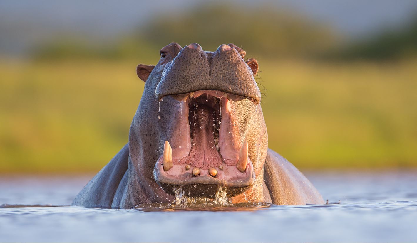fotoreise-suedafrika-fotosafari-zululand07