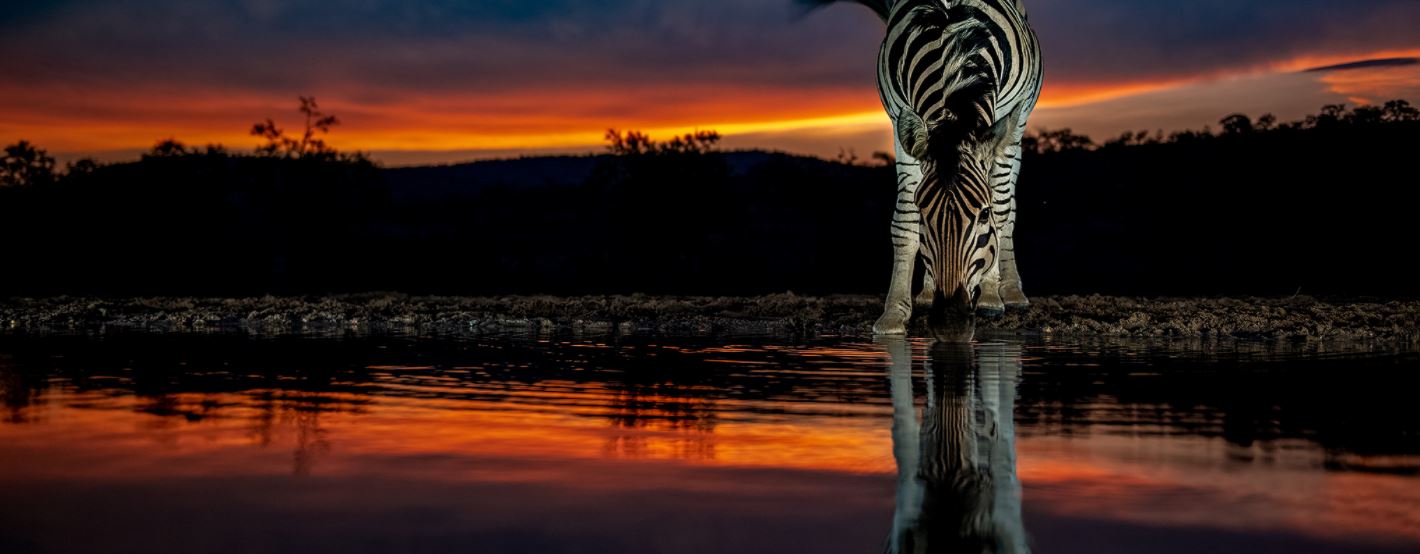 fotoreise-suedafrika-fotosafari-zululand09