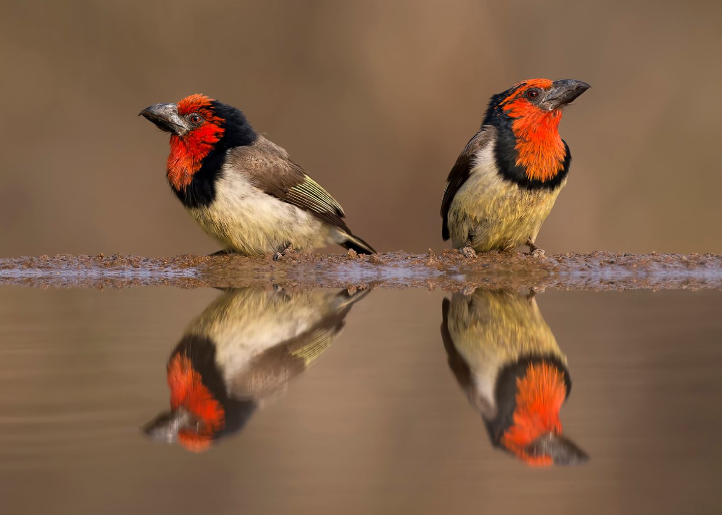 fotoreise-suedafrika-fotosafari-zululand10