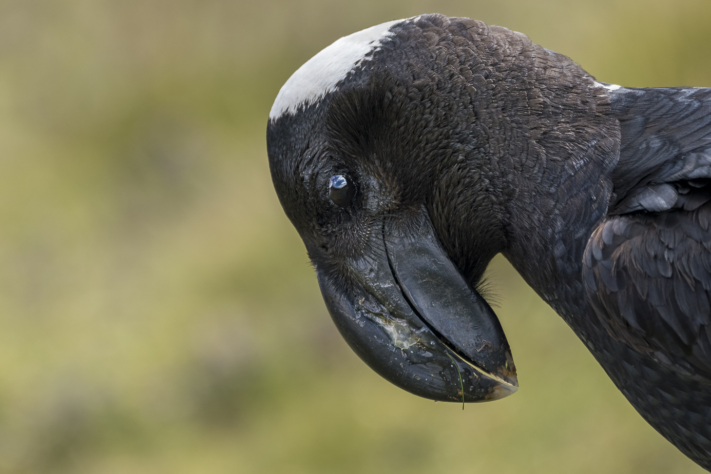 fotoreise-aethiopien-fotosafari-ethiopia-Erzrabe-71