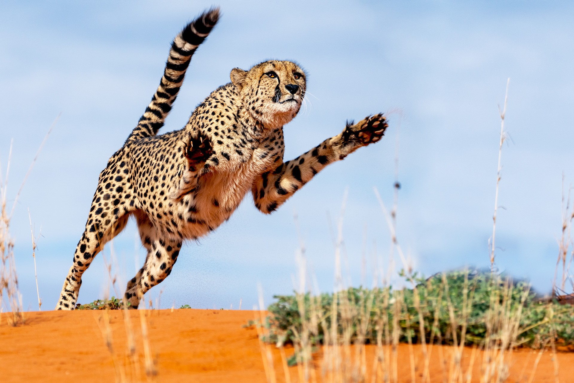 Fotoreise-Fotosafari-hd-2021-001-Namibia
